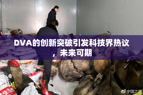 DVA的创新突破引发科技界热议，未来可期