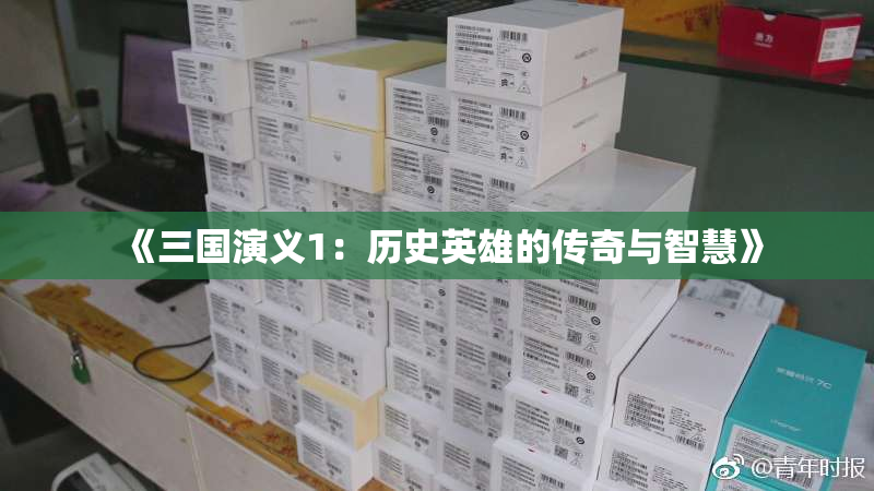 《三国演义1：历史英雄的传奇与智慧》