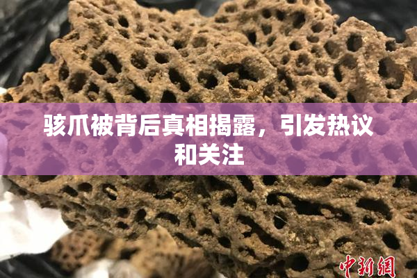 骇爪被背后真相揭露，引发热议和关注