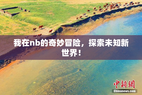 我在nb的奇妙冒险，探索未知新世界！