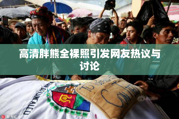 高清胖熊全裸照引发网友热议与讨论