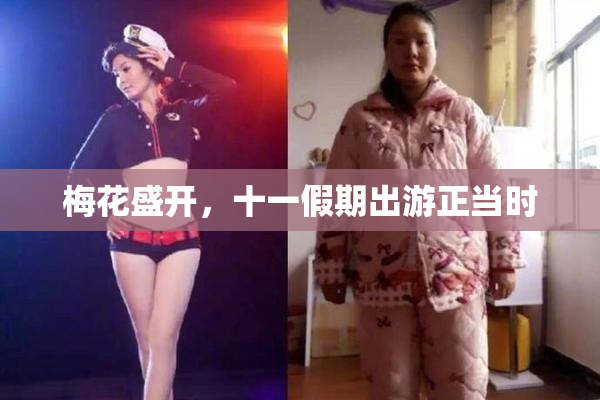 梅花盛开，十一假期出游正当时