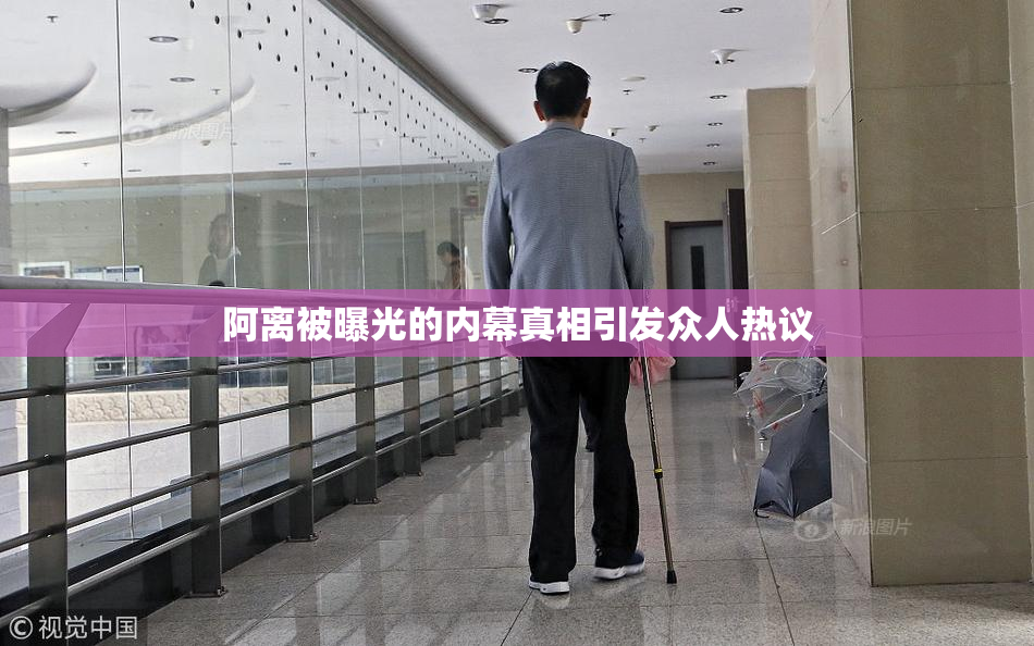 阿离被曝光的内幕真相引发众人热议