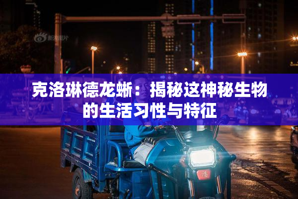 克洛琳德龙蜥：揭秘这神秘生物的生活习性与特征