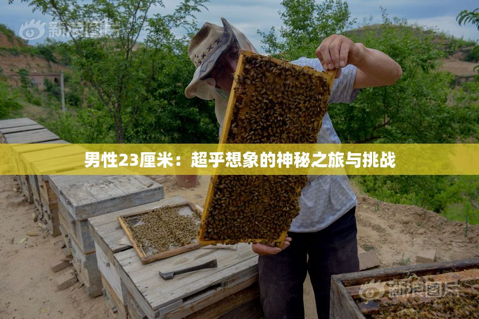 男性23厘米：超乎想象的神秘之旅与挑战