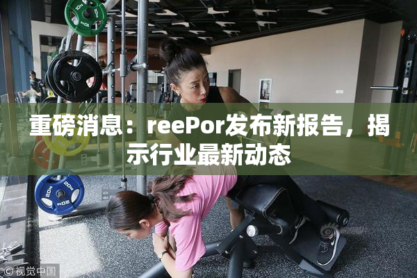 重磅消息：reePor发布新报告，揭示行业最新动态