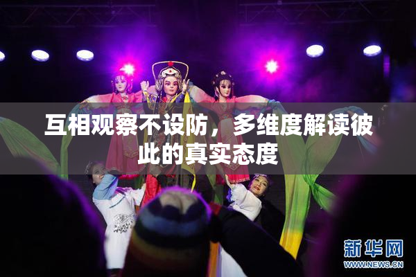 互相观察不设防，多维度解读彼此的真实态度