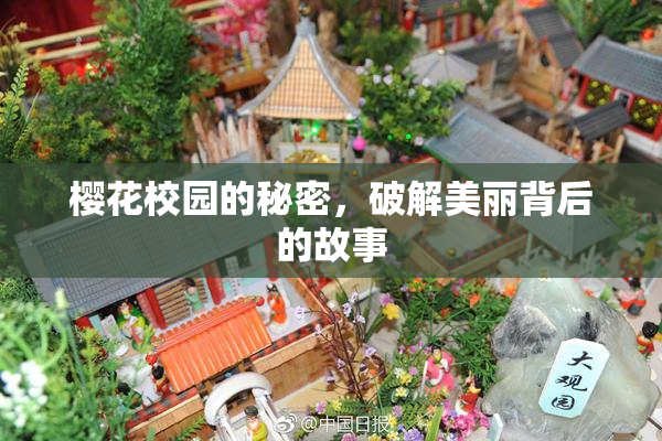 樱花校园的秘密，破解美丽背后的故事