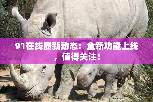 91在线最新动态：全新功能上线，值得关注！