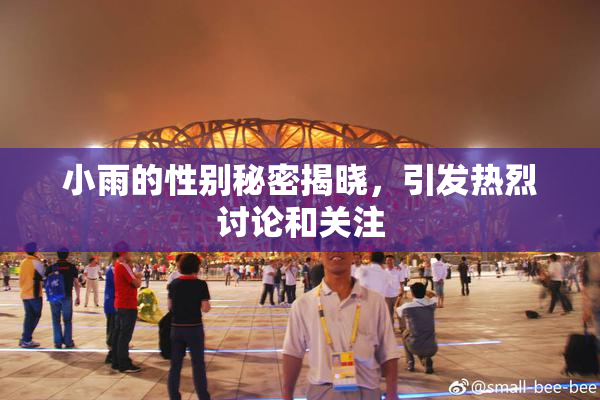 小雨的性别秘密揭晓，引发热烈讨论和关注
