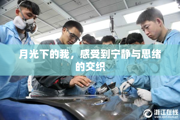 月光下的我，感受到宁静与思绪的交织