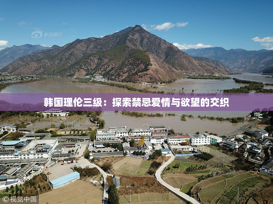 韩国理伦三级：探索禁忌爱情与欲望的交织