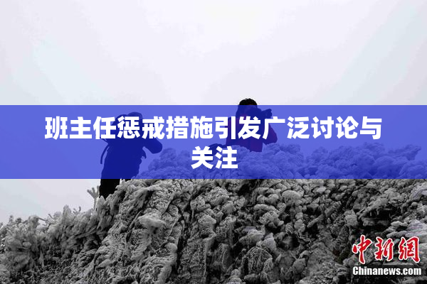 班主任惩戒措施引发广泛讨论与关注