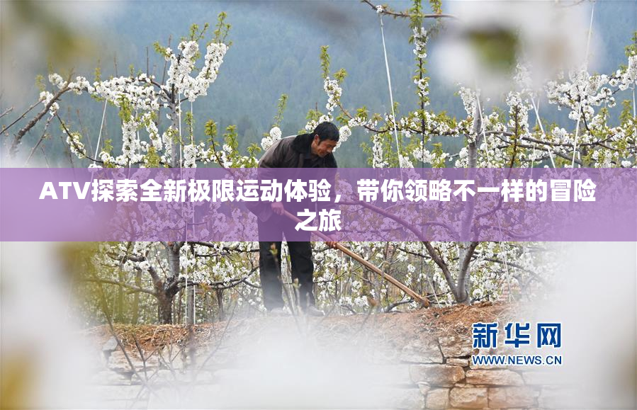 ATV探索全新极限运动体验，带你领略不一样的冒险之旅