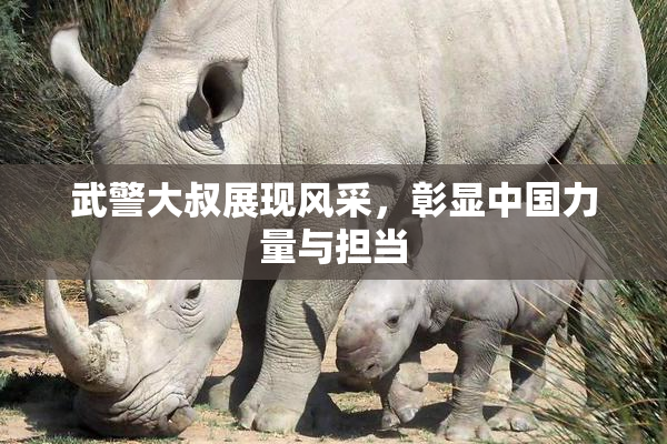 武警大叔展现风采，彰显中国力量与担当