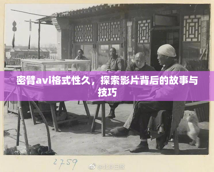 密臂avi格式性久，探索影片背后的故事与技巧