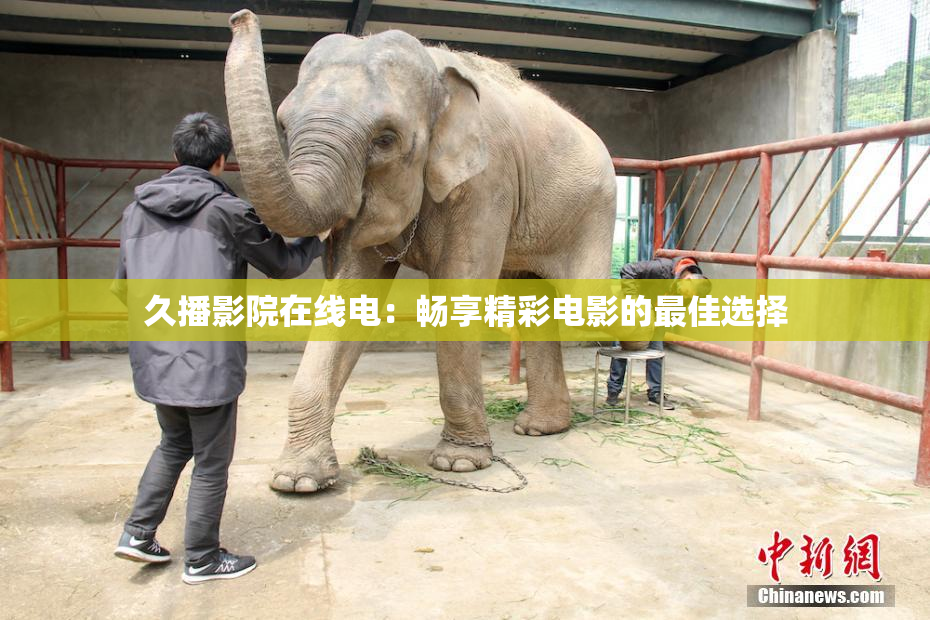 久播影院在线电：畅享精彩电影的最佳选择