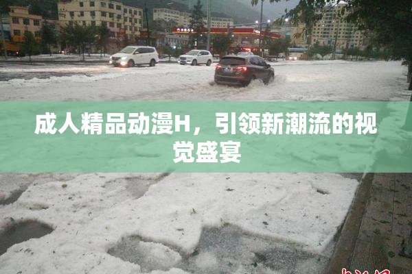 成人精品动漫H，引领新潮流的视觉盛宴