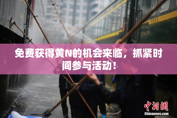 免费获得黄Ν的机会来临，抓紧时间参与活动！