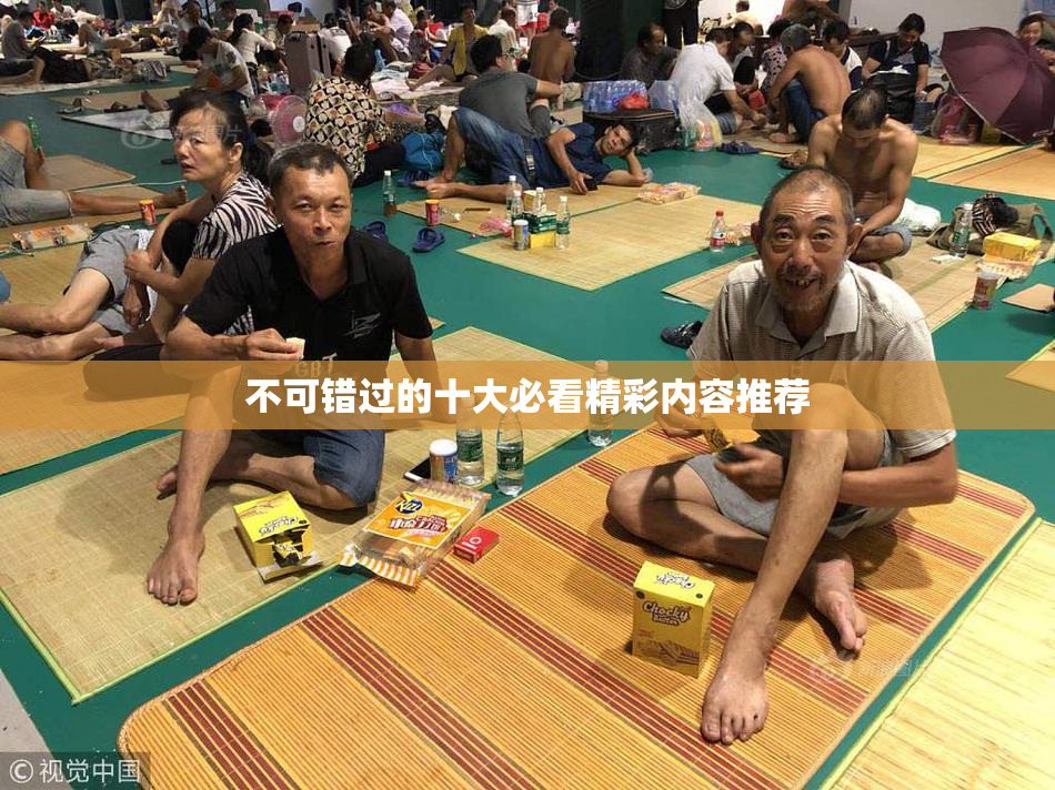 不可错过的十大必看精彩内容推荐