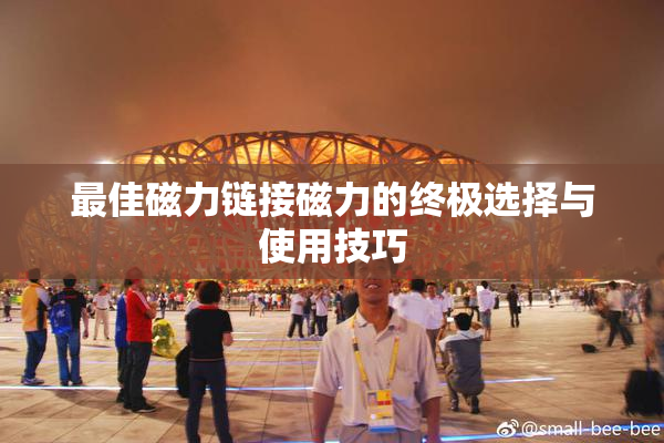 最佳磁力链接磁力的终极选择与使用技巧