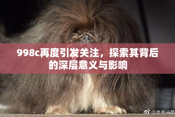 998c再度引发关注，探索其背后的深层意义与影响