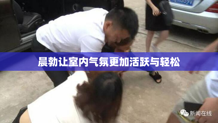 晨勃让室内气氛更加活跃与轻松