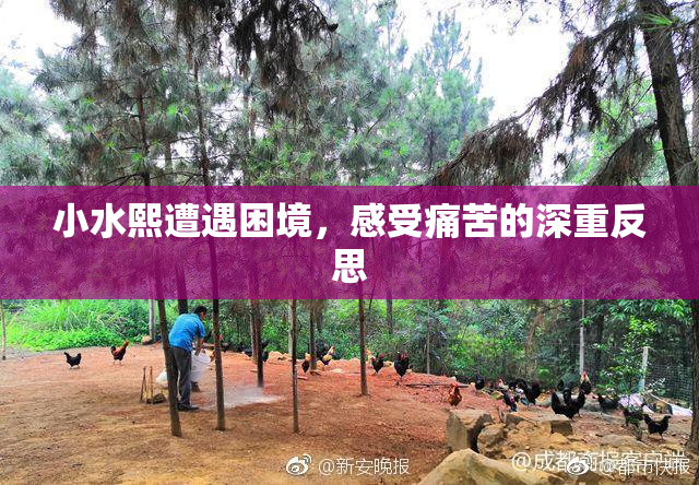 小水熙遭遇困境，感受痛苦的深重反思
