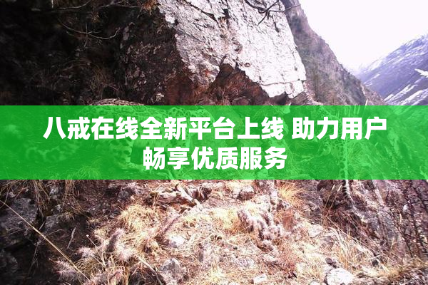 八戒在线全新平台上线 助力用户畅享优质服务