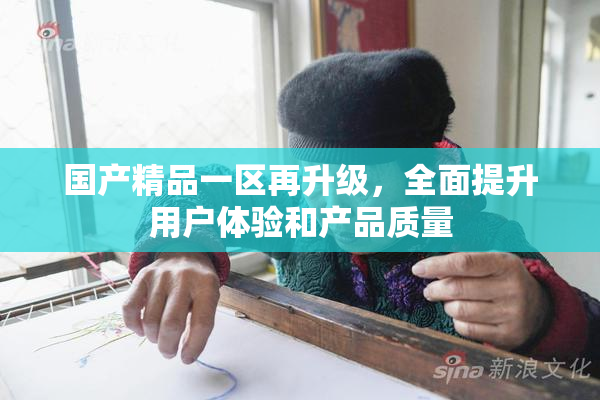 国产精品一区再升级，全面提升用户体验和产品质量