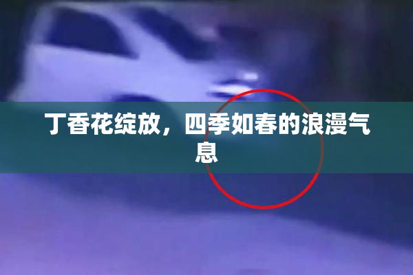 丁香花绽放，四季如春的浪漫气息