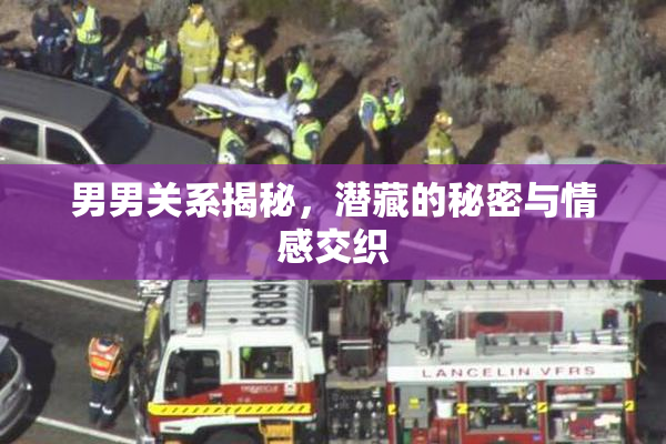 男男关系揭秘，潜藏的秘密与情感交织