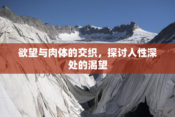 欲望与肉体的交织，探讨人性深处的渴望
