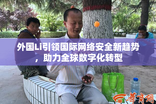 外国Li引领国际网络安全新趋势，助力全球数字化转型
