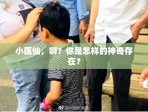 小医仙，啊？你是怎样的神奇存在？