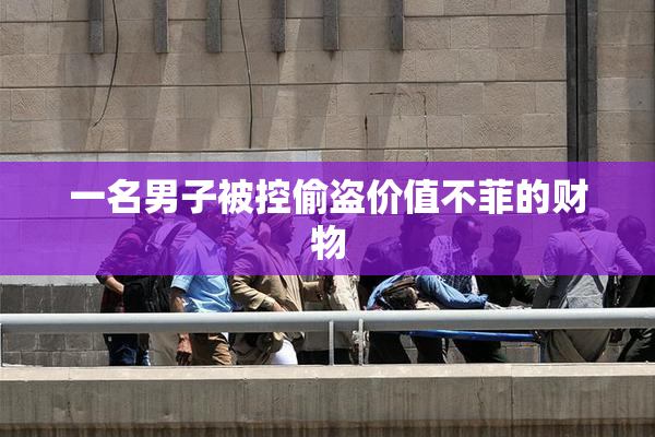 一名男子被控偷盗价值不菲的财物