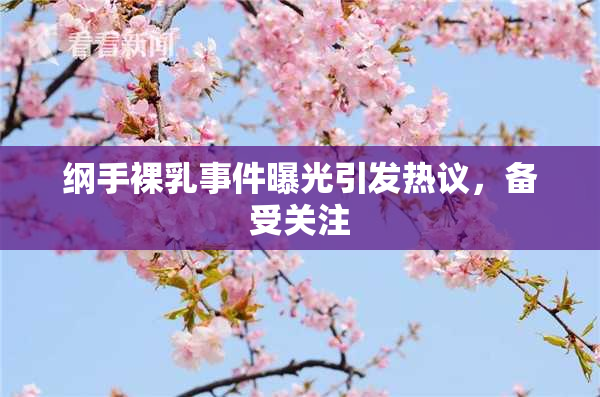 纲手裸乳事件曝光引发热议，备受关注