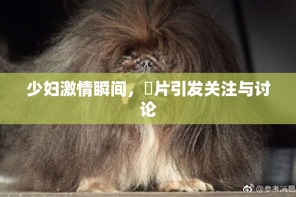 少妇激情瞬间，婬片引发关注与讨论