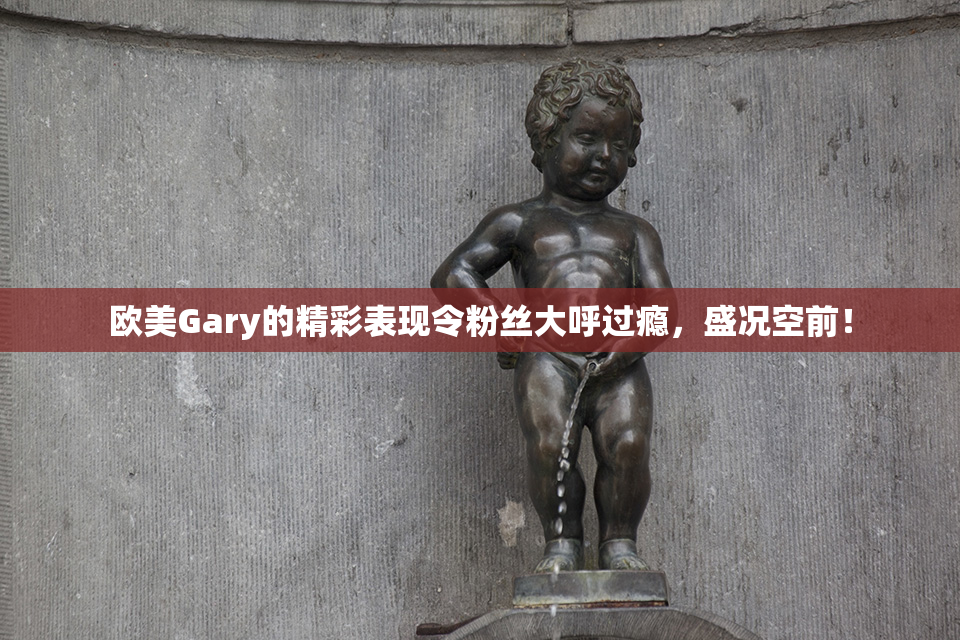 欧美Gary的精彩表现令粉丝大呼过瘾，盛况空前！