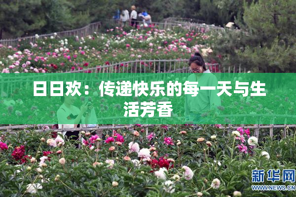 日日欢：传递快乐的每一天与生活芳香