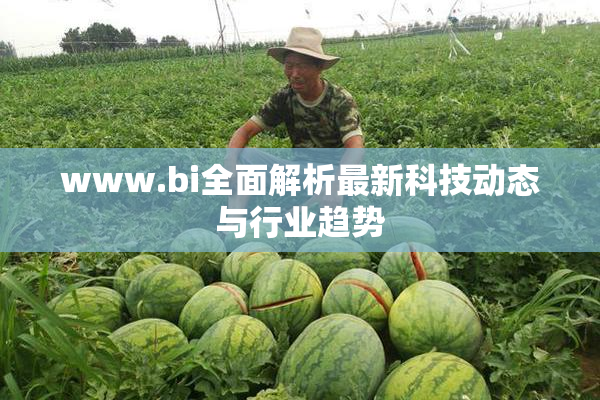 www.bi全面解析最新科技动态与行业趋势