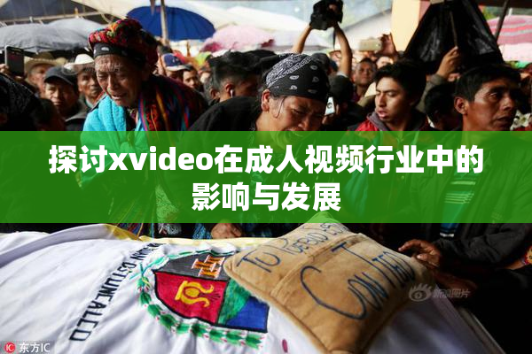 探讨xvideo在成人视频行业中的影响与发展