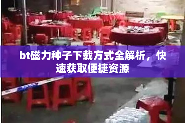 bt磁力种子下载方式全解析，快速获取便捷资源