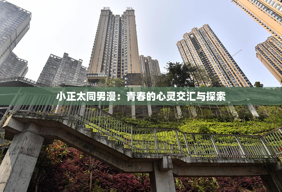 小正太同男漫：青春的心灵交汇与探索