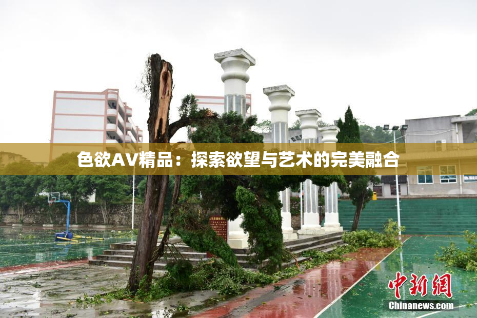 色欲AV精品：探索欲望与艺术的完美融合