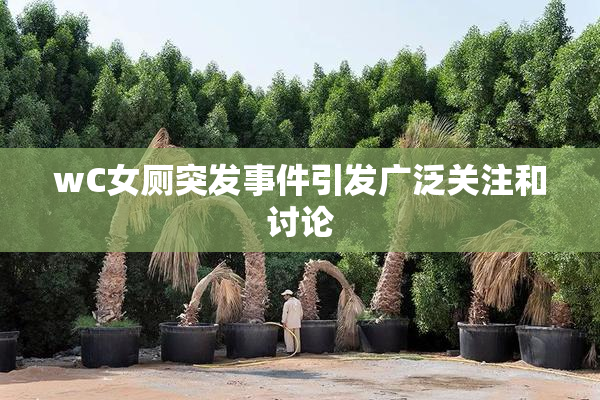 wC女厕突发事件引发广泛关注和讨论