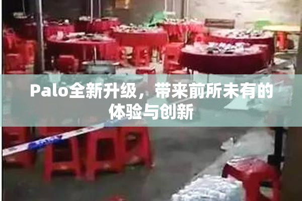 Palo全新升级，带来前所未有的体验与创新