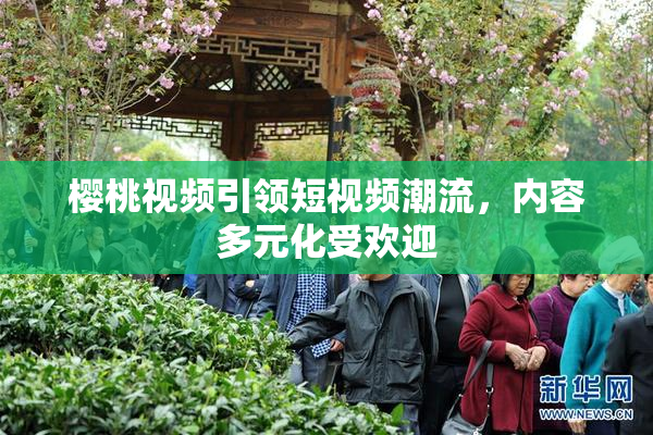 樱桃视频引领短视频潮流，内容多元化受欢迎