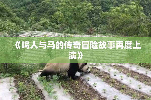 《鸣人与马的传奇冒险故事再度上演》