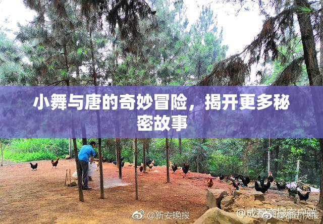 小舞与唐的奇妙冒险，揭开更多秘密故事